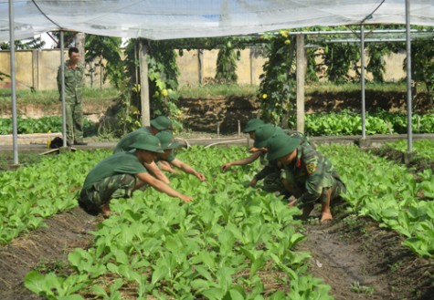 Tuổi trẻ Lữ đoàn 550: “Tiết kiệm phụ cấp hướng tới tương lai”