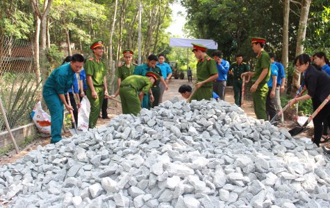 Chiến dịch tình nguyện hè năm 2016: Sẽ thành lập các đội hình chuyên