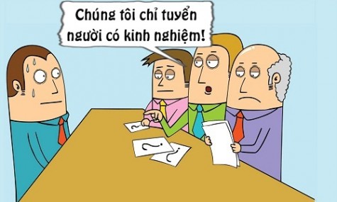 Nhà tuyển dụng 'chết lặng' với kinh nghiệm của ứng viên