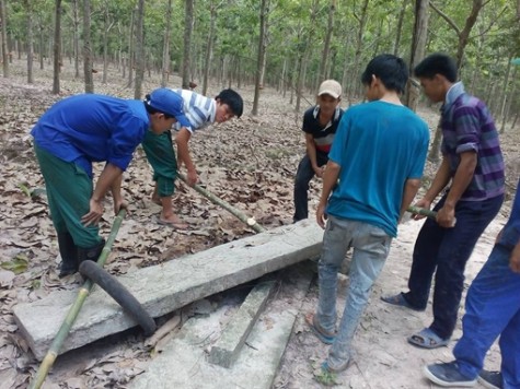 Đoàn Thanh niên Nông trường Cao su Đoàn Văn Tiến: Lắp đặt cầu qua mương bằng các bê tông tấm