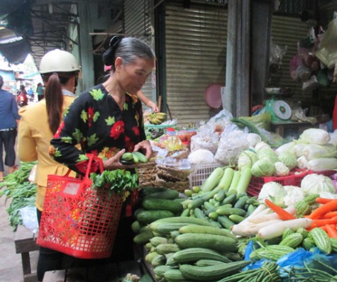 Hội Liên hiệp phụ nữ các cấp: Chung tay bảo vệ môi trường