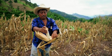 Các nước vùng Caribe sắp sửa thoát khỏi hiện tượng El Nino