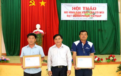 Hội thảo mô hình sản xuất cây có múi đạt chứng nhận VietGAP