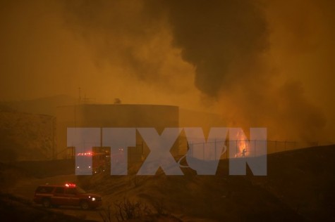 Cháy lớn thiêu rụi hàng chục ha rừng ở California, dân phải sơ tán