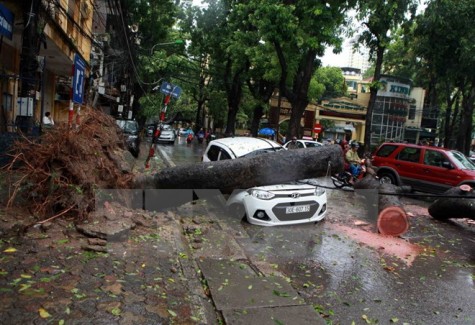 Thủ tướng Chính phủ ra công điện ứng phó với cơn bão số 2