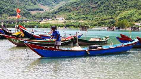 Ngư dân đầm Lăng Cô được hỗ trợ sau sự cố môi trường biển