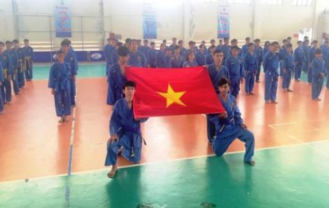 Liên đoàn Vovinam Bình Dương: Tổ chức Kỳ thi thăng cấp trung đẳng