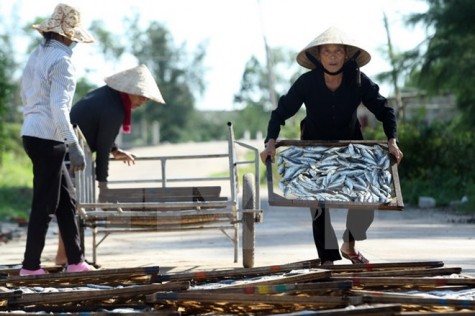 Ô nhiễm môi trường biển: Khẩn trương xây dựng định mức bồi thường