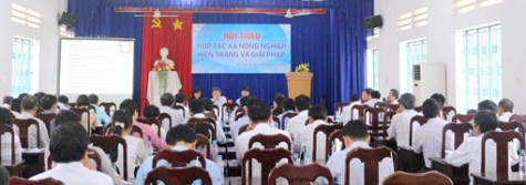 Hội nghị tổng kết hoạt động Tổ hợp tác giai đoạn 2013 - 2016