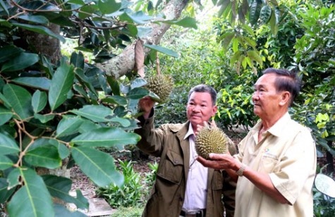 Giải pháp xây dựng thành công nông thôn mới: Đổi mới tư duy nông dân