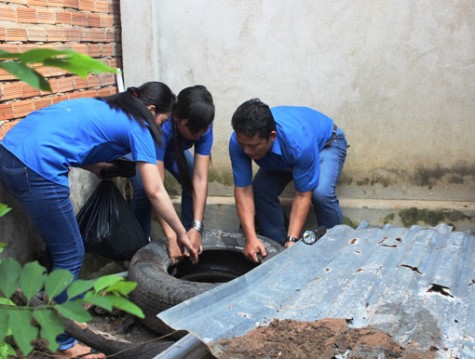 Tăng cường giám sát bệnh do vi rút Zika