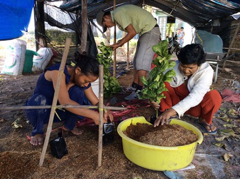 Ông Hồ Trúc Thanh, Phó Giám đốc Sở Nông nghiệp và Phát triển nông thôn: “Mục đích cuối cùng của Chương trình xây dựng nông thôn mới là nâng cao đời sống người dân!”