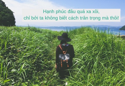 Hạnh phúc đâu quá xa xôi, chỉ bởi ta không biết cách trân trọng mà thôi