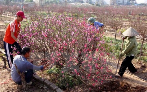 Bộ trưởng Trương Minh Tuấn yêu cầu các đơn vị không chúc Tết lãnh đạo