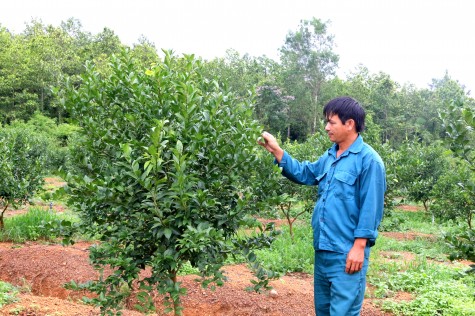 Huy động tốt nguồn lực trong dân để xây dựng nông thôn mới