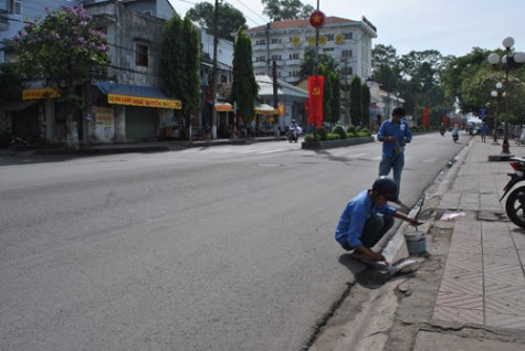 Chợ hoa xuân 2017 có 190 gian hàng hoa, cây cảnh