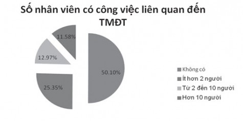 Khảo sát Tình hình ứng dụng thương mại điện tử tại doanh nghiệp trên địa bàn