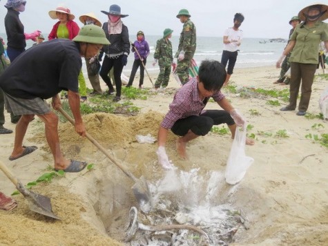 Bảo vệ môi trường chính là đầu tư cho phát triển bền vững