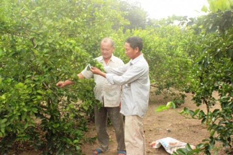 Nhớ mãi mùa xuân năm ấy