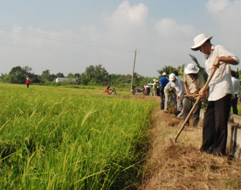 TX.Tân Uyên: Tạo sự đồng thuận từ các mô hình