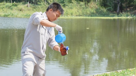 Không có hiện tượng doanh nghiệp lén xả thải làm chết cá ở hồ Từ Vân