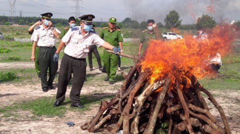 Tiêu hủy hơn 11kg heroin và ma túy đá trong vụ án Lê Đình Kiểm