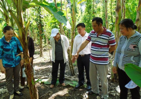 Phòng dân tộc tỉnh Bình Dương: Tổ chức tham quan, học tập mô hình kinh tế của hộ dân tộc xã An Linh