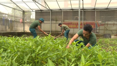 Lực lượng dân quân Xã An Tây, TX.Bến Cát: Phát huy truyền thống quê hương Địa đạo Tam giác sắt anh hùng