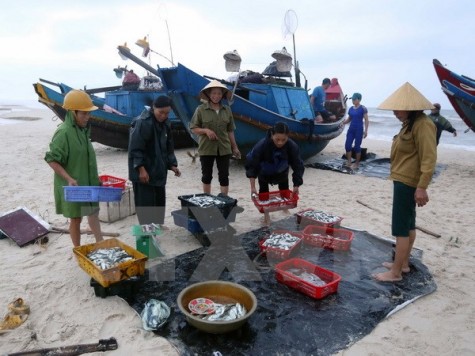 Đánh giá của Bộ Tài nguyên và Môi trường 1 năm sau sự cố Formosa