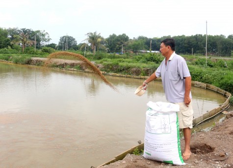 Thu tiền tỷ từ cá chép giòn