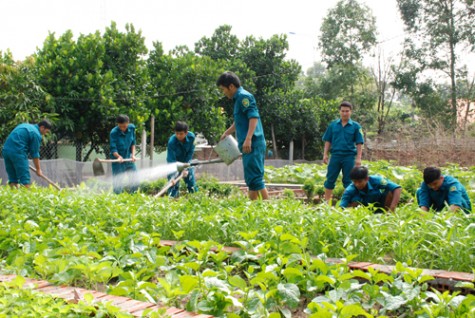 Lực lượng vũ trang tỉnh: Đẩy mạnh hoạt động tăng gia sản xuất