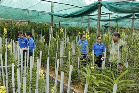 Chi đoàn cơ sở Liên hiệp Hội Khoa học kỹ thuật tỉnh: Tham quan, học tập các mô hình nông nghiệp đô thị