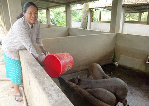 Sa Thị Hoa - Người phụ nữ dân tộc thiểu số giàu nghị lực