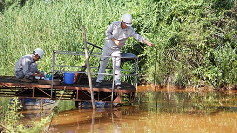 Xác định nguyên nhân ban đầu làm nước đổi màu khiến cá chết