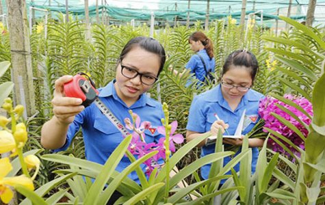 Tạo cơ hội cho thanh niên lập nghiệp