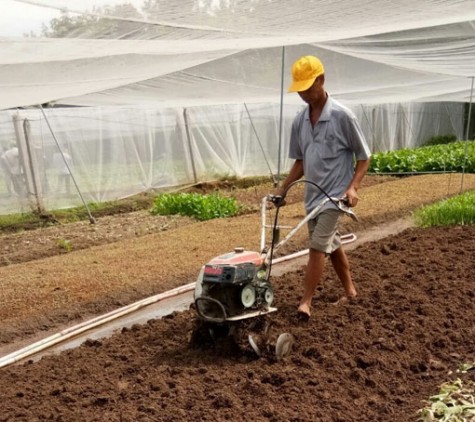 Hội nông dân phường Thạnh Phước, Tx.Tân Uyên: Tư vấn, hỗ trợ nông dân phát triển sản xuất