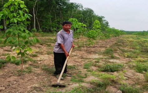 Ông Nguyễn Văn Tiến, Trưởng Ban công tác Mặt trận khu phố 4, thị trấn Phước Vĩnh (Phú Giáo): Vất vả nhưng niềm vui không ít...