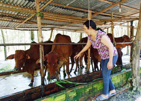 Vươn lên từ nguồn vốn vay ưu đãi