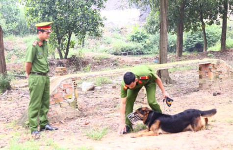 Chó nghiệp vụ, những trợ thủ đắc lực trong phòng, chống tội phạm