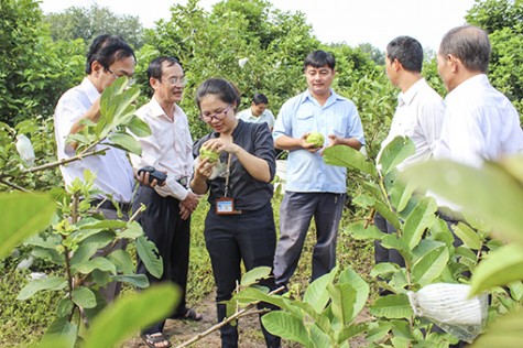 Phát triển khoa học và công nghệ ở cơ sở:  Đẩy mạnh liên kết, phối hợp