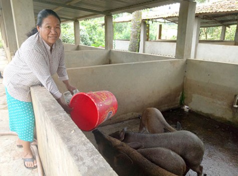 Hội Liên hiệp Phụ nữ huyện Bắc Tân Uyên: Nhiều cách làm hay giúp hội viên vươn lên