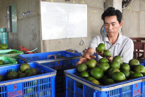 Có hướng đi đúng, doanh nghiệp dễ thành công