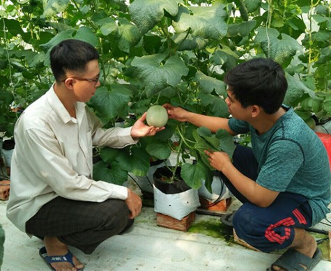 TX.Bến Cát: Lan tỏa phong trào nông dân thi đua sản xuất, kinh doanh giỏi