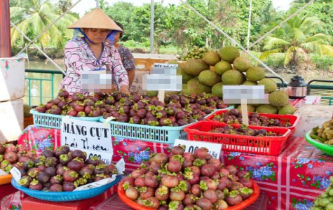 Miệt vườn Lái Thiêu: “Thiên đường” trái cây và ẩm thực từ trái cây