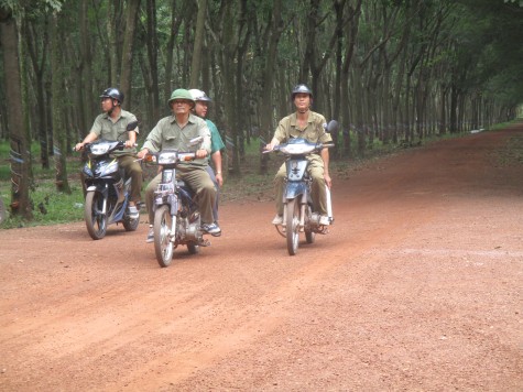 Tổ công nhân, nhân dân tự quản về an ninh trật tự trong vườn cao su:
Huy động sức dân gìn giữ bình yên vùng quê