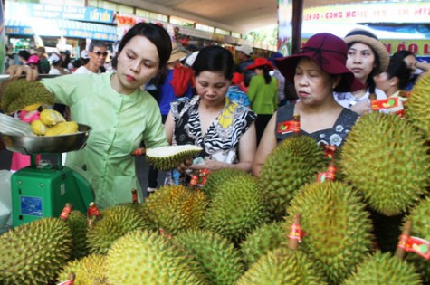 Hội trái cây Nam bộ 2018: Hơn 20 nghệ nhân, nhà vườn Bình Dương tham dự