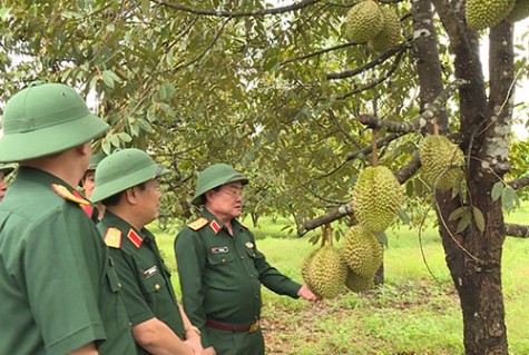 Ngành hậu cần lực lượng vũ trang tỉnh: Điển hình trong hoạt động tăng gia sản xuất