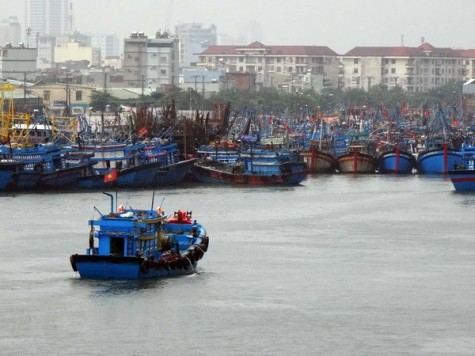 Quảng Ninh đến Bình Định phòng tránh vùng áp thấp Bắc Biển Đông