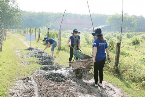 Dấu chân tuổi trẻ trong mùa hè tình nguyện