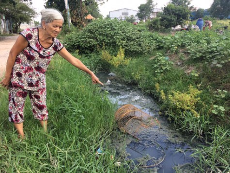 Các hộ dân ở tổ 5, Kp. Phước Hải, Phường Thái Hòa, Tx.Tân Uyên:
Mong địa phương xử lý dứt điểm tình trạng ô nhiễm bụi, hôi thối